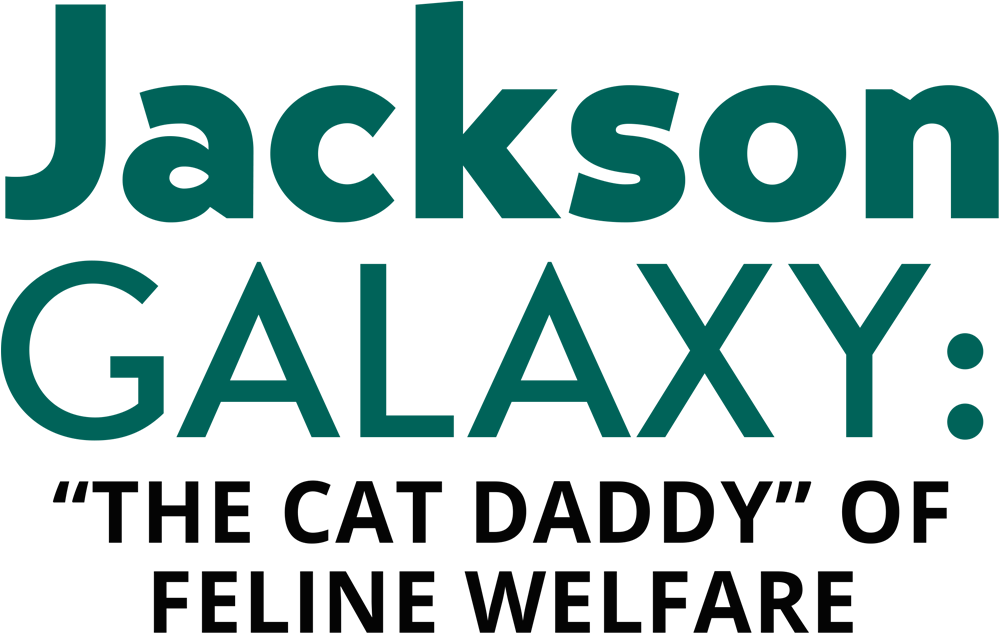 Jackson Galaxy: “the Cat Daddy” of Feline Welfare typography