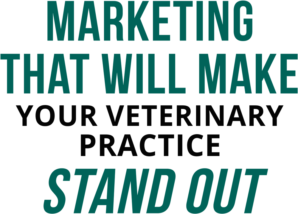 Marketing that Will Make Your Veterinary Practice Stand Out typography