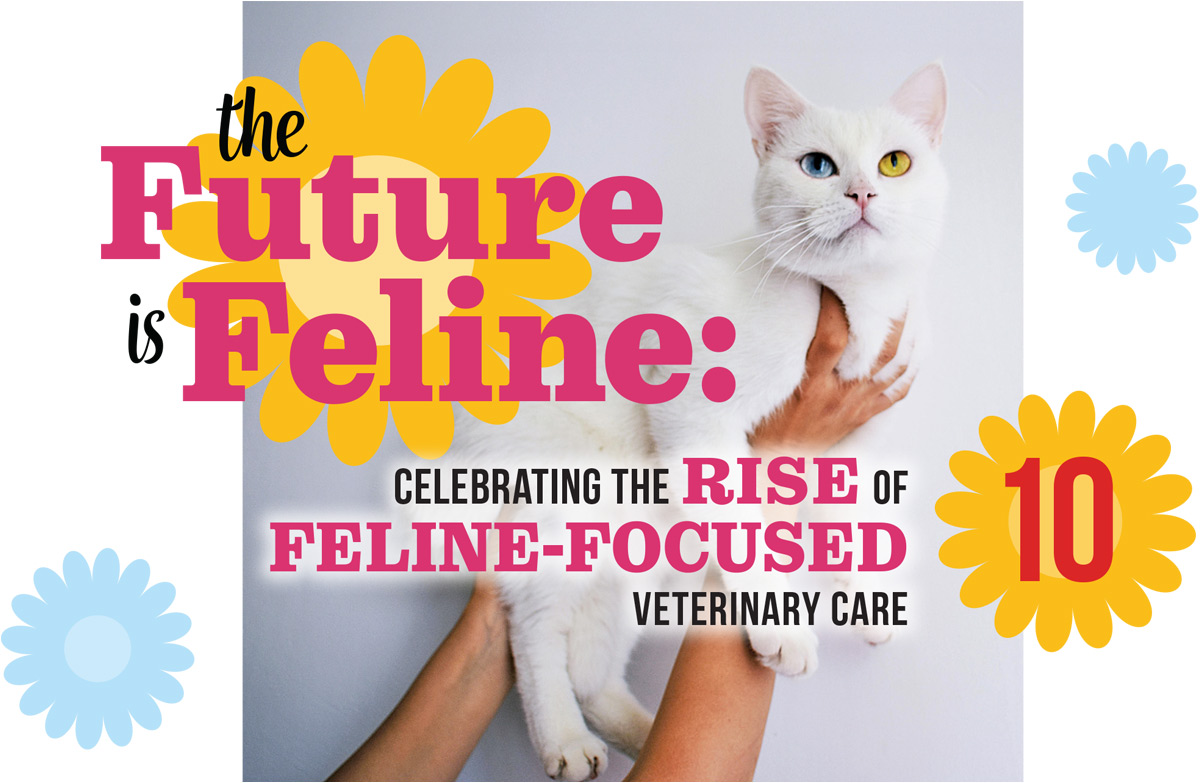 The Future is Feline: Celebrating the Rise of Feline-focused Veterinary Care article imagery and typography
