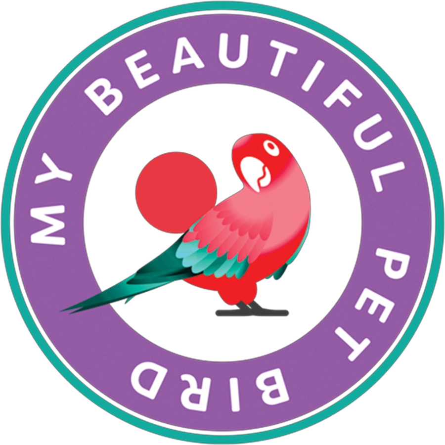 My Beautiful Pet Bird graphic featuring a tropical bird in honor of National Pet Bird Day