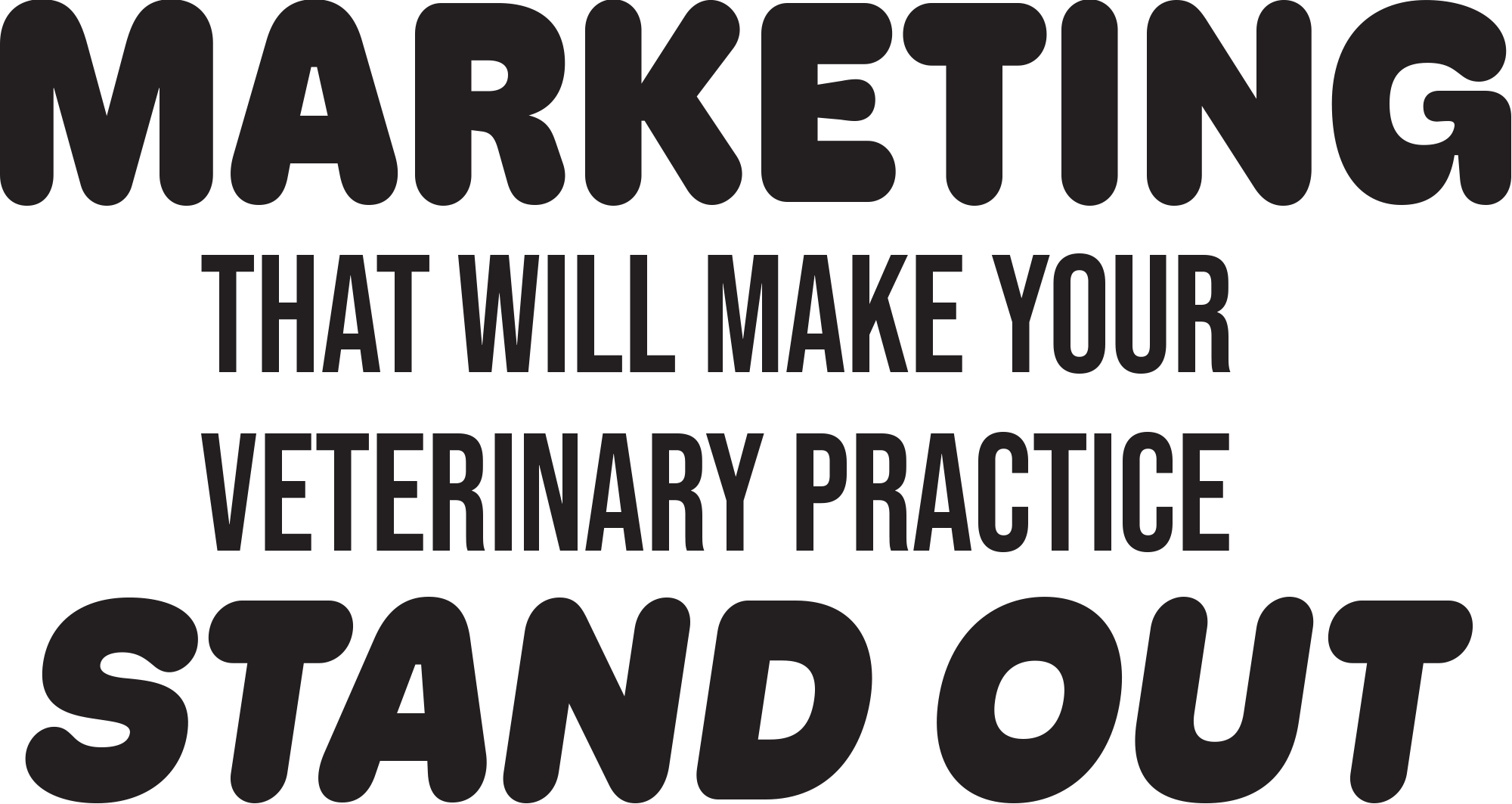 Marketing that Will Make Your Veterinary Practice Stand Out