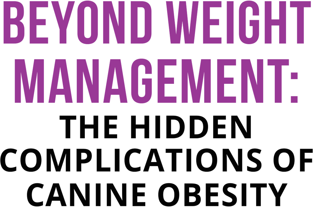 Beyond Weight Management: The Hidden Complications of Canine Obesity typography
