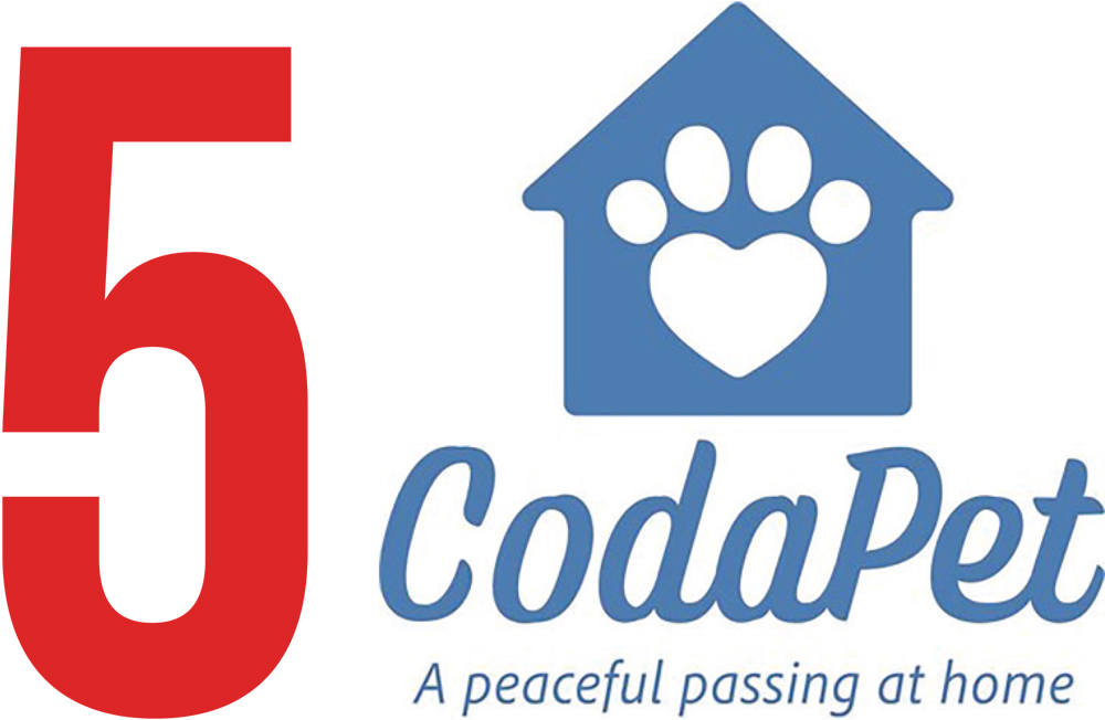a bold red number five beside the CodaPet logo