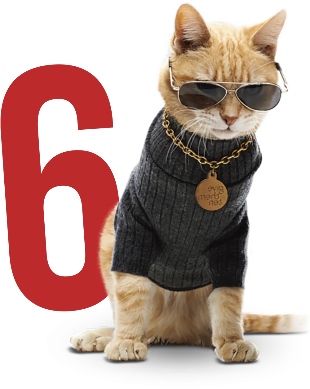 a bold red number 6 beside an image of a red cat wearing aviator shades, a ribbed turtleneck sweater and a gold medallion that reads “Give Them Ten”