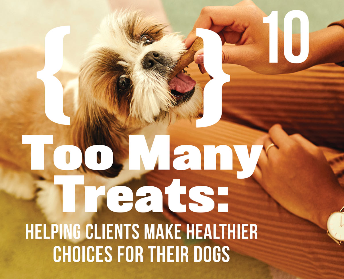 Too Many Treats: Helping Clients Navigate Healthier Choices for Their Dogs article imagery and typography