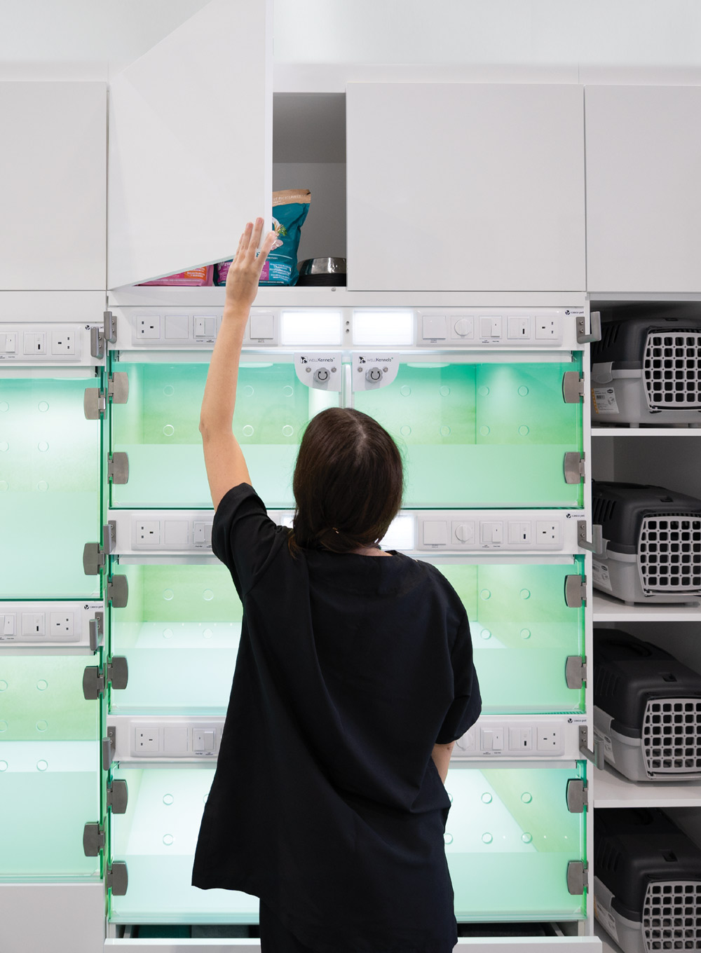 A veterinary professional, facing away, reaches up to an overhead white cabinet, stocking food above a wall of modern, glass-fronted, green-lit recovery kennels.