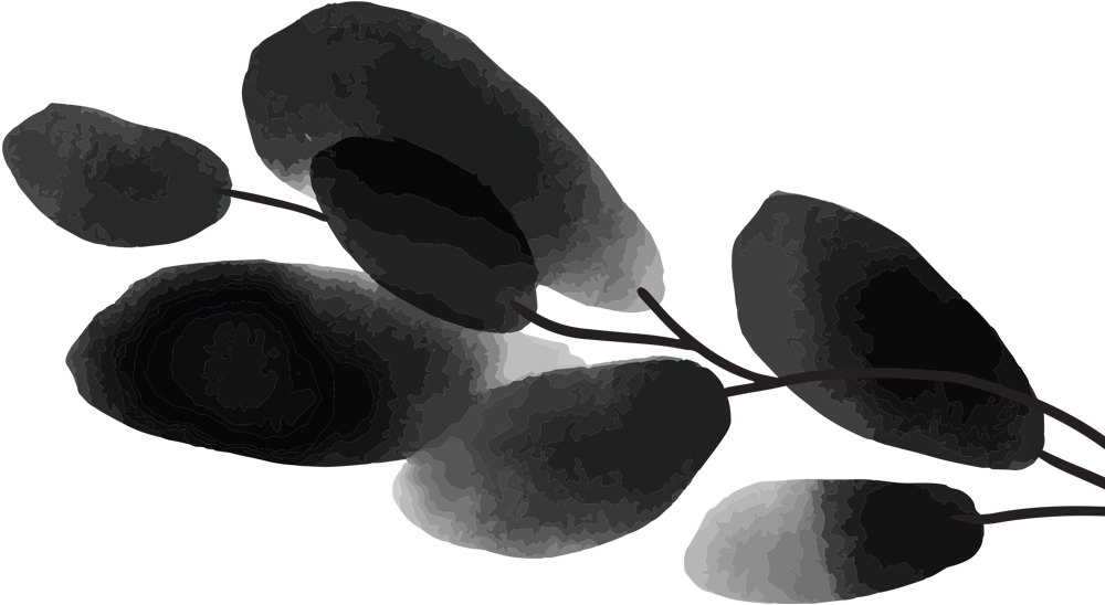 Dr. Katie Ford pictured in a seated on a large boulder at the edge of a cliff overlooking a vast expanse of green fields, forest and hills